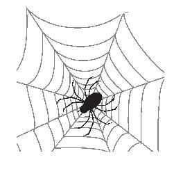 web